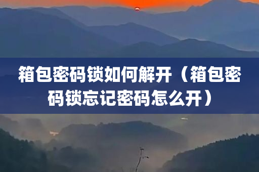 箱包密码锁如何解开（箱包密码锁忘记密码怎么开）