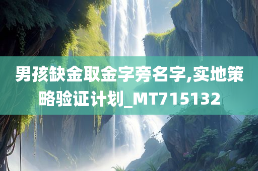 男孩缺金取金字旁名字,实地策略验证计划_MT715132