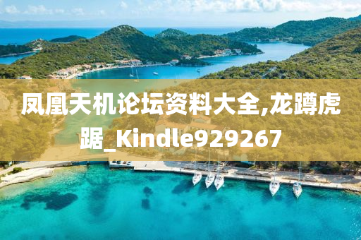 凤凰天机论坛资料大全,龙蹲虎踞_Kindle929267