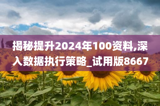 揭秘提升2024年100资料,深入数据执行策略_试用版8667