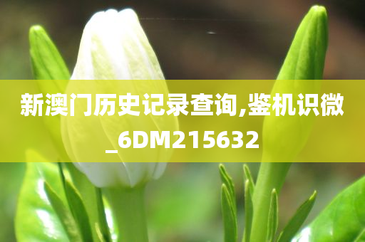 新澳门历史记录查询,鉴机识微_6DM215632