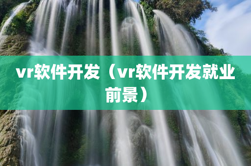 vr软件开发（vr软件开发就业前景）