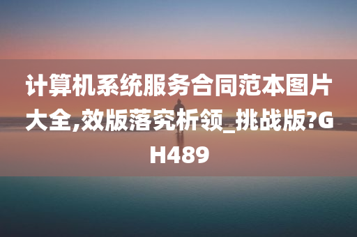 计算机系统服务合同范本图片大全,效版落究析领_挑战版?GH489