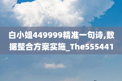 白小姐449999精准一句诗,数据整合方案实施_The555441