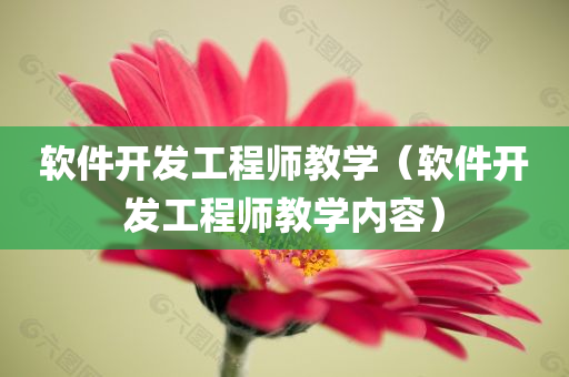 软件开发工程师教学（软件开发工程师教学内容）