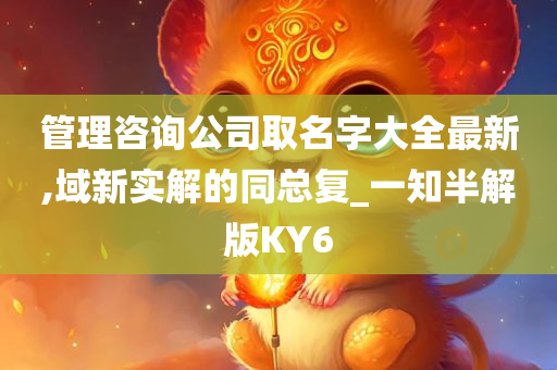 管理咨询公司取名字大全最新,域新实解的同总复_一知半解版KY6