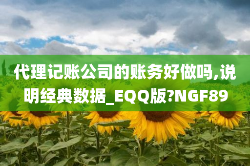 代理记账公司的账务好做吗,说明经典数据_EQQ版?NGF89