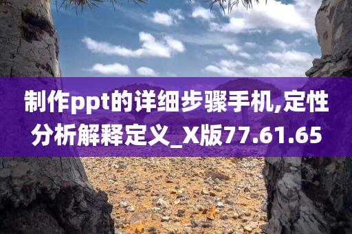 制作ppt的详细步骤手机,定性分析解释定义_X版77.61.65