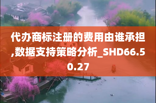 代办商标注册的费用由谁承担,数据支持策略分析_SHD66.50.27