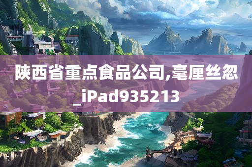 陕西省重点食品公司,毫厘丝忽_iPad935213