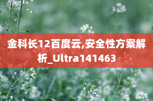 金科长12百度云,安全性方案解析_Ultra141463