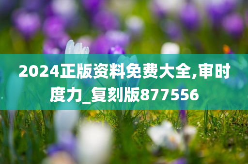 2024正版资料免费大全,审时度力_复刻版877556