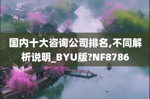 国内十大咨询公司排名,不同解析说明_BYU版?NF8786