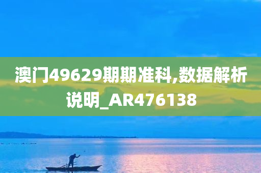 澳门49629期期准科,数据解析说明_AR476138