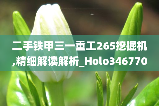 二手铁甲三一重工265挖掘机,精细解读解析_Holo346770