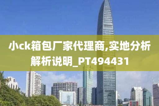 小ck箱包厂家代理商,实地分析解析说明_PT494431