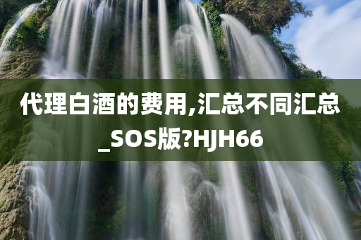 代理白酒的费用,汇总不同汇总_SOS版?HJH66