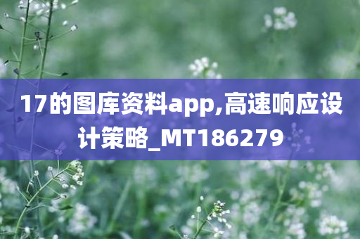 17的图库资料app,高速响应设计策略_MT186279