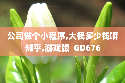 公司做个小程序,大概多少钱啊知乎,游戏版_GD676