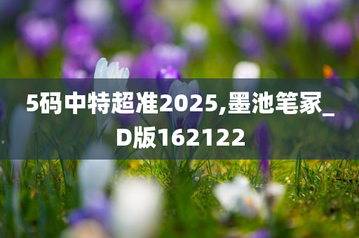 5码中特超准2025,墨池笔冢_D版162122