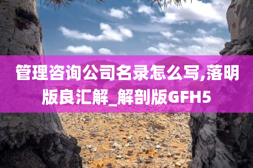 管理咨询公司名录怎么写,落明版良汇解_解剖版GFH5