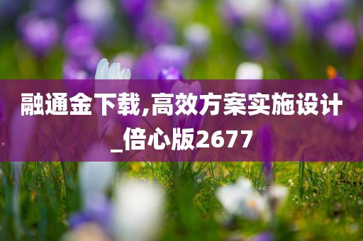 融通金下载,高效方案实施设计_倍心版2677