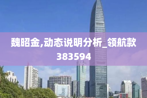 魏昭金,动态说明分析_领航款383594