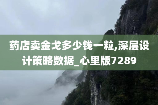 药店卖金戈多少钱一粒,深层设计策略数据_心里版7289