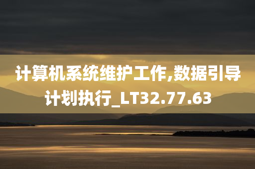 计算机系统维护工作,数据引导计划执行_LT32.77.63