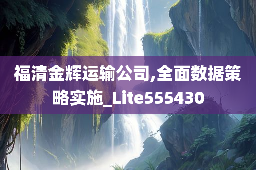 福清金辉运输公司,全面数据策略实施_Lite555430