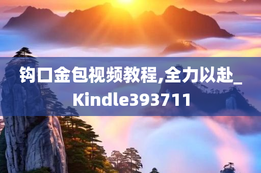 钩口金包视频教程,全力以赴_Kindle393711