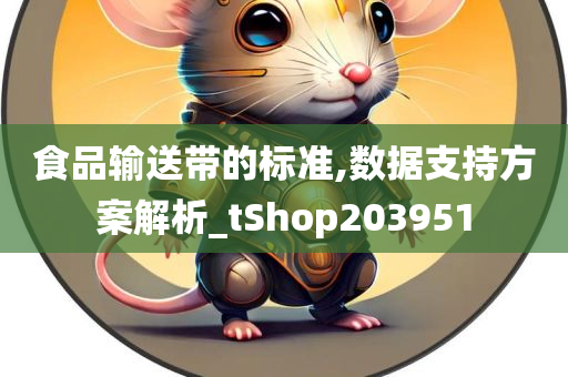 食品输送带的标准,数据支持方案解析_tShop203951