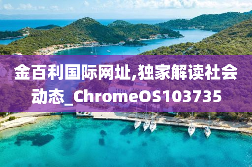 金百利国际网址,独家解读社会动态_ChromeOS103735