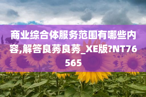 商业综合体服务范围有哪些内容,解答良莠良莠_XE版?NT76565