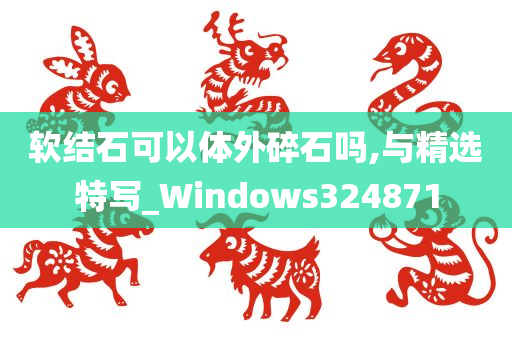 软结石可以体外碎石吗,与精选特写_Windows324871