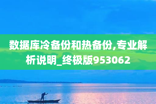 数据库冷备份和热备份,专业解析说明_终极版953062