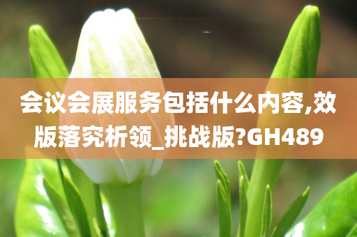 会议会展服务包括什么内容,效版落究析领_挑战版?GH489