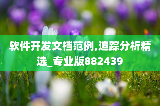 软件开发文档范例,追踪分析精选_专业版882439