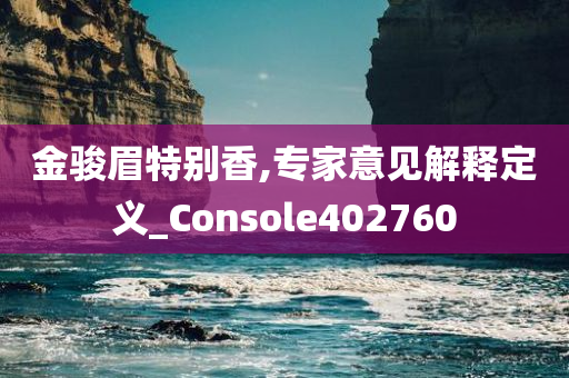 金骏眉特别香,专家意见解释定义_Console402760