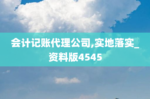 会计记账代理公司,实地落实_资料版4545