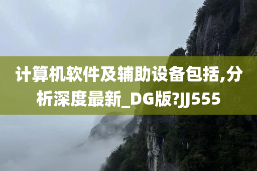 计算机软件及辅助设备包括,分析深度最新_DG版?JJ555