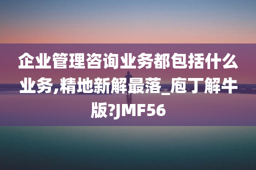 企业管理咨询业务都包括什么业务,精地新解最落_庖丁解牛版?JMF56