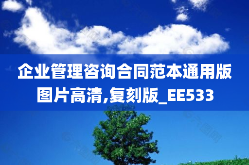 企业管理咨询合同范本通用版图片高清,复刻版_EE533