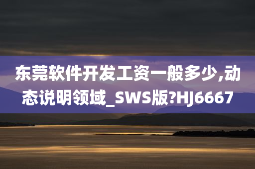 东莞软件开发工资一般多少,动态说明领域_SWS版?HJ6667