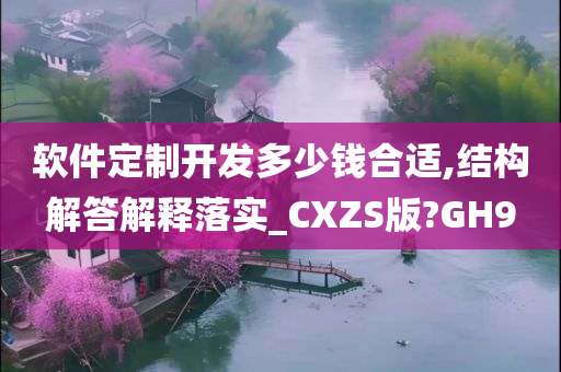 软件定制开发多少钱合适,结构解答解释落实_CXZS版?GH9