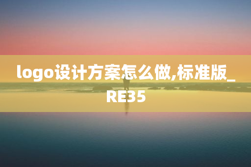 logo设计方案怎么做,标准版_RE35