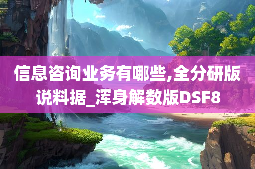 信息咨询业务有哪些,全分研版说料据_浑身解数版DSF8