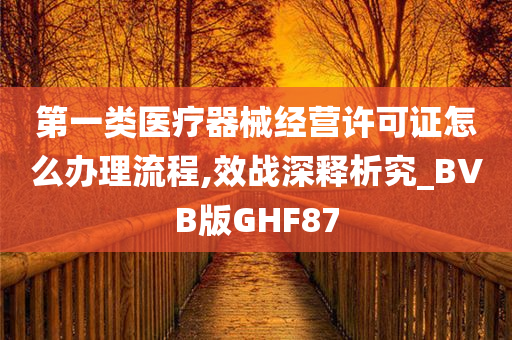 第一类医疗器械经营许可证怎么办理流程,效战深释析究_BVB版GHF87