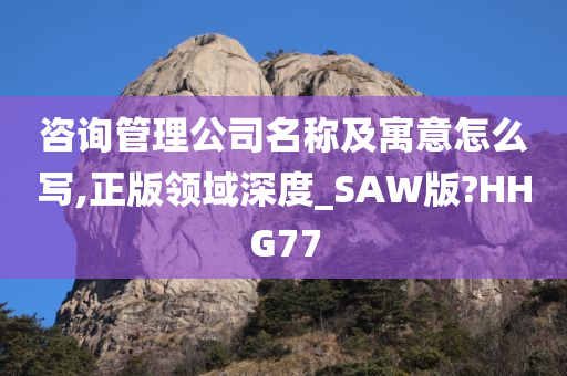 咨询管理公司名称及寓意怎么写,正版领域深度_SAW版?HHG77