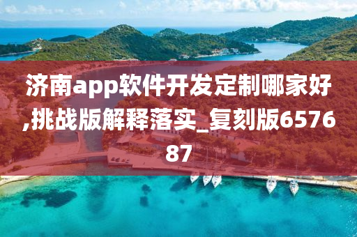 济南app软件开发定制哪家好,挑战版解释落实_复刻版657687